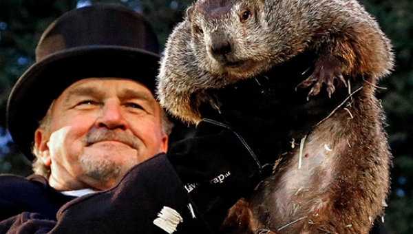 2 февраля в США и Канаде отмечают день сурка